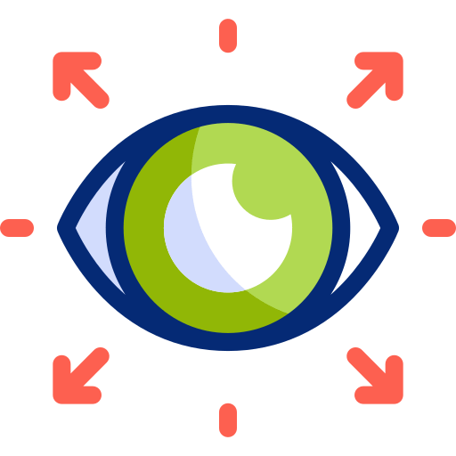 vision